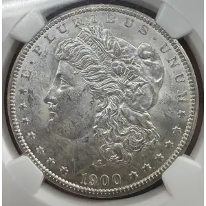 Morgan Silver Dollar (5)
