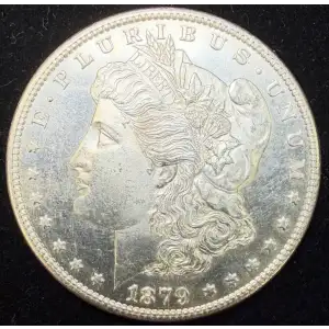 Morgan Silver Dollar (2)