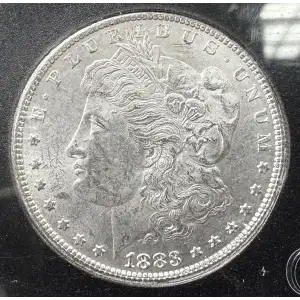 Morgan Silver Dollar (2)
