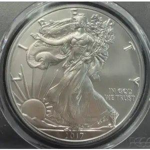 2017-W $1 Burnished Silver Eagle First Day of Issue First Day of Issue (2)