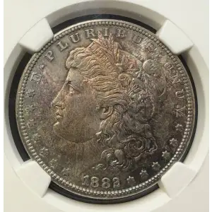Morgan Silver Dollar (4)