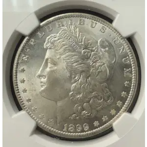 Morgan Silver Dollar