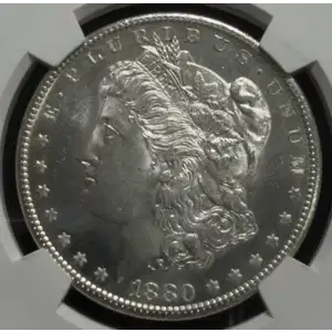 Morgan Silver Dollar (6)