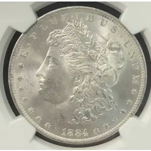 Morgan Silver Dollar