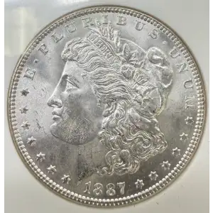 Morgan Silver Dollar (5)
