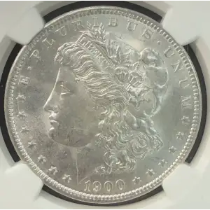 Morgan Silver Dollar