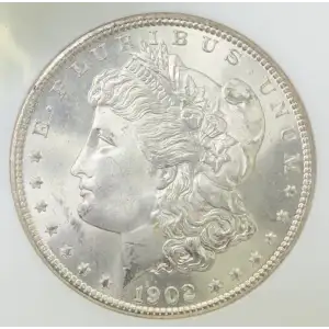 Morgan Silver Dollar (2)