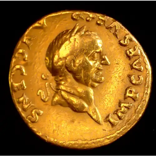Vespasian, AV Aureus (4)
